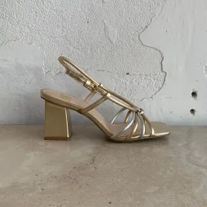 Piazza Grande Arlo Gold/ Silver