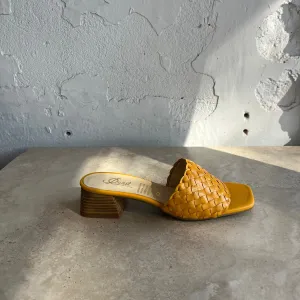 Quait 23026 Mustard