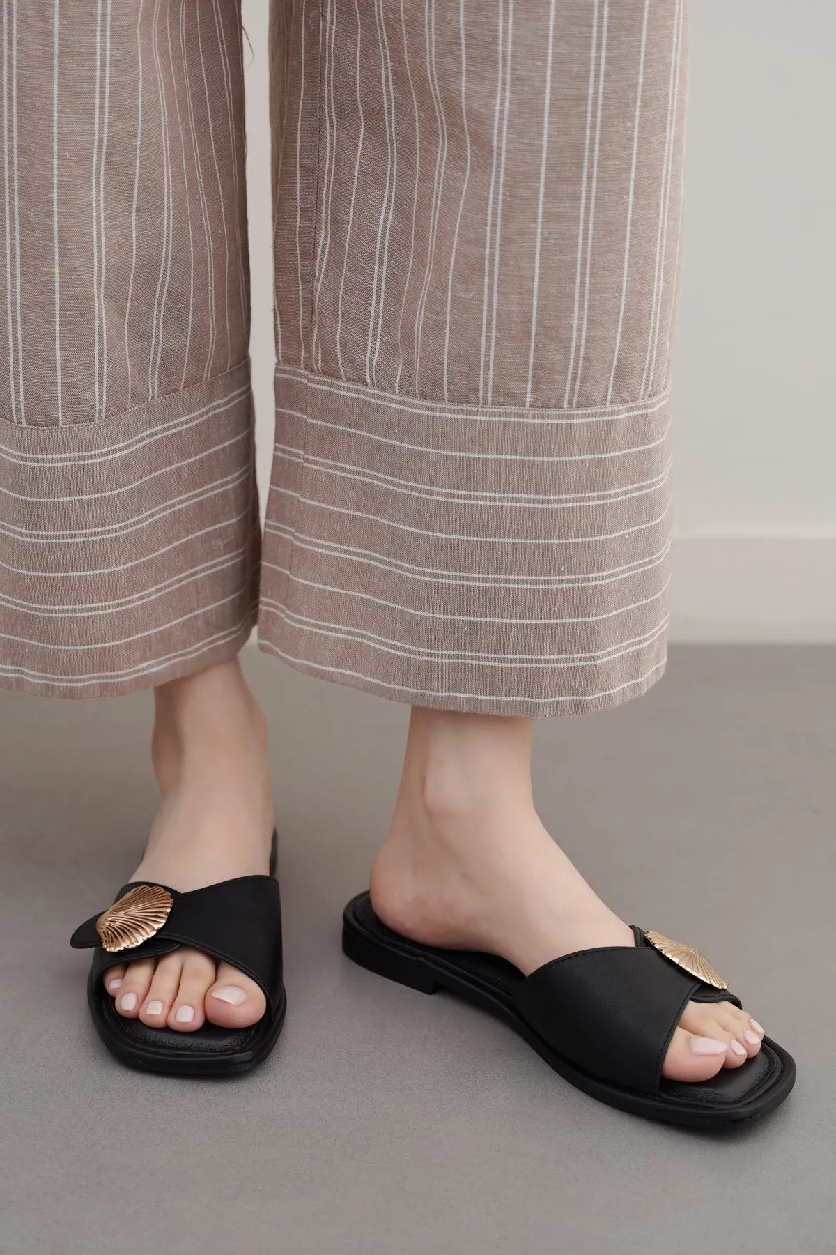 SEASHELL SLIDES