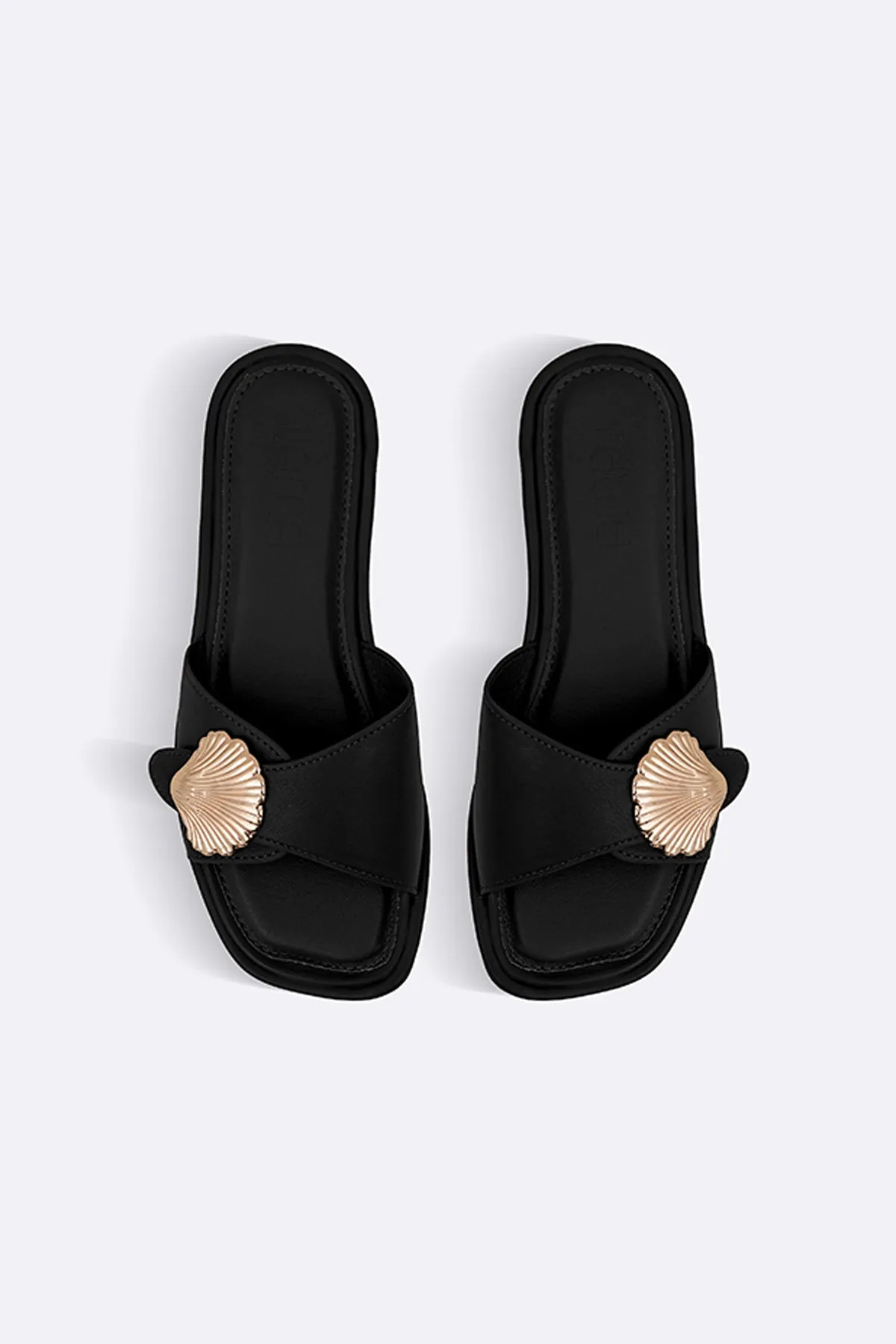 SEASHELL SLIDES