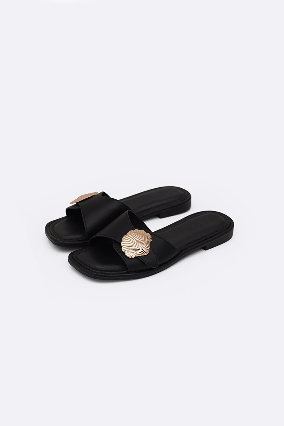 SEASHELL SLIDES