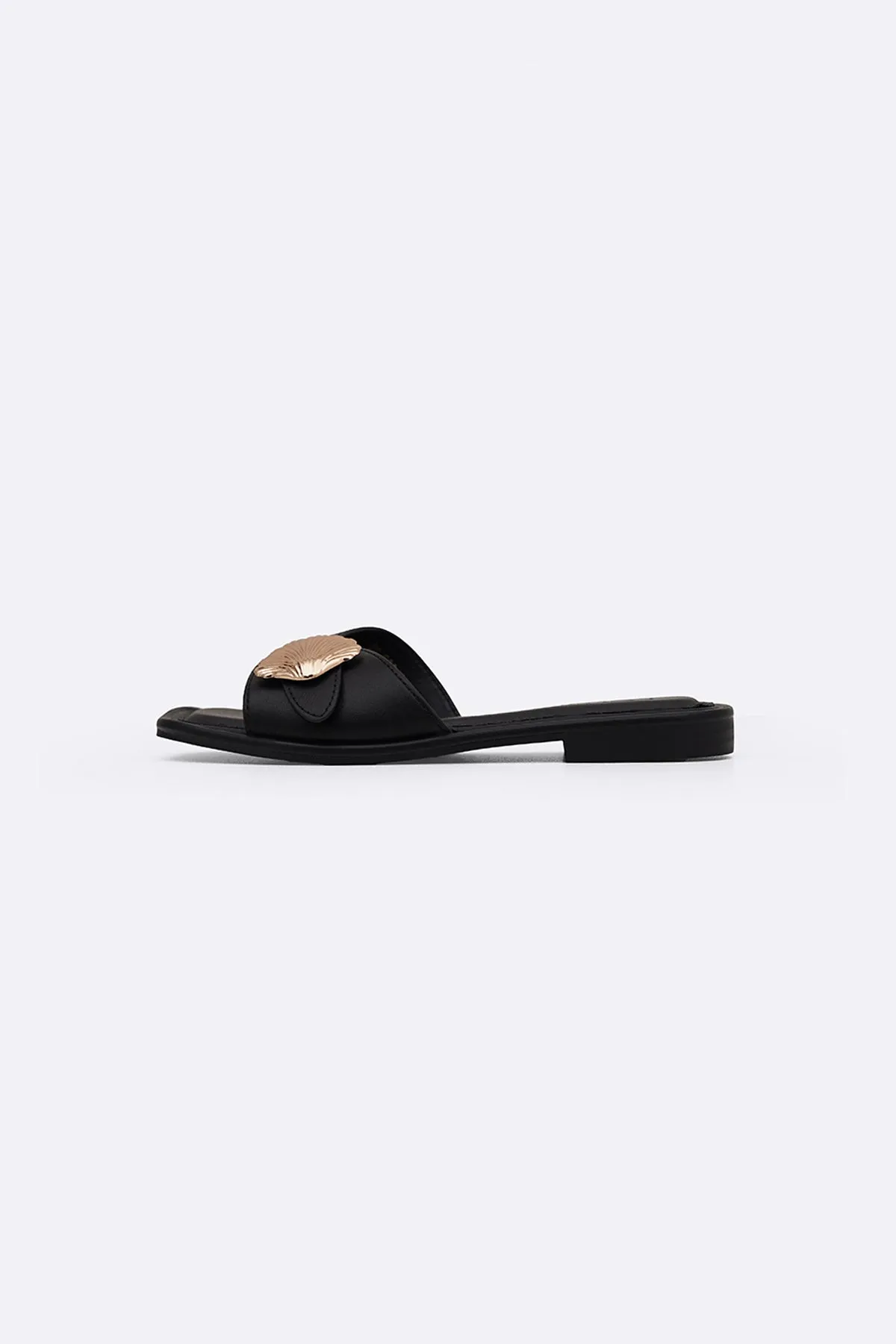 SEASHELL SLIDES