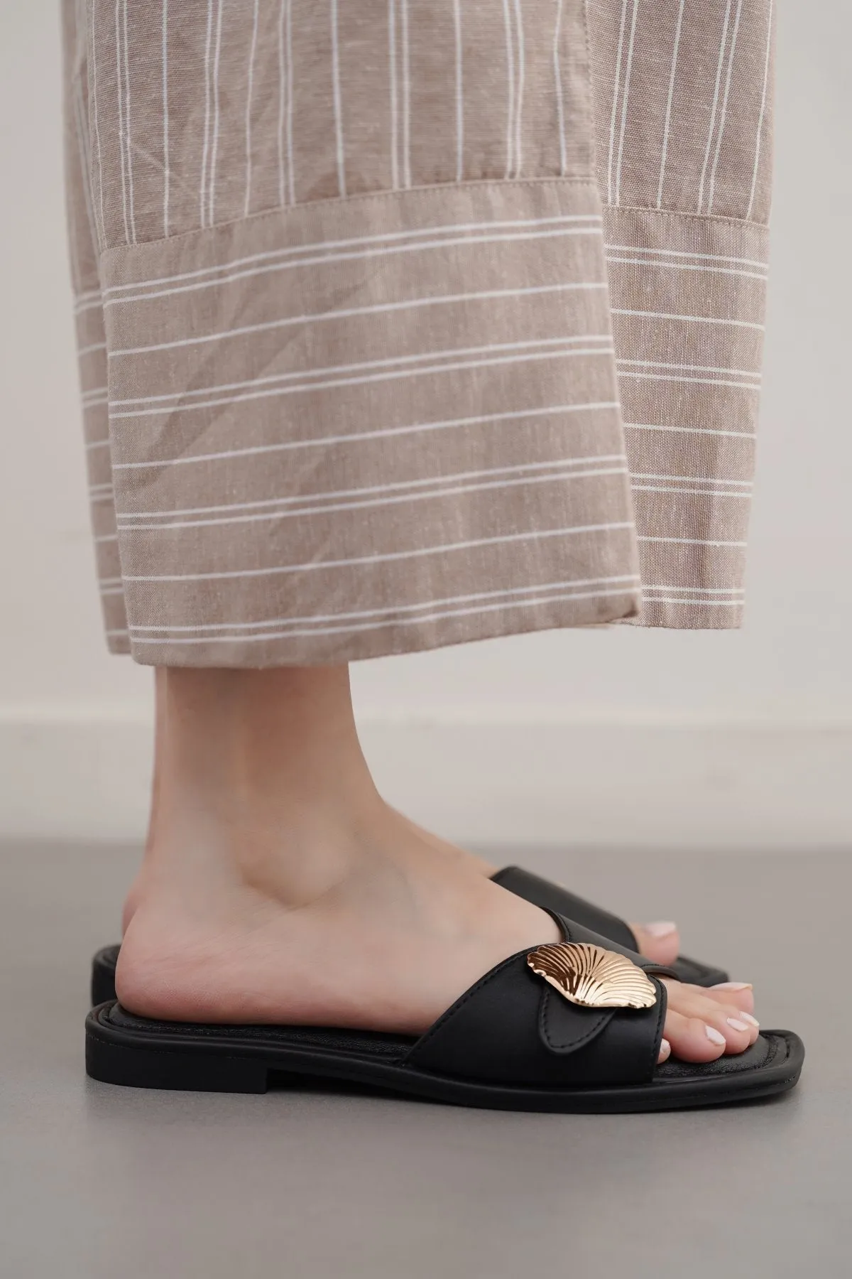 SEASHELL SLIDES