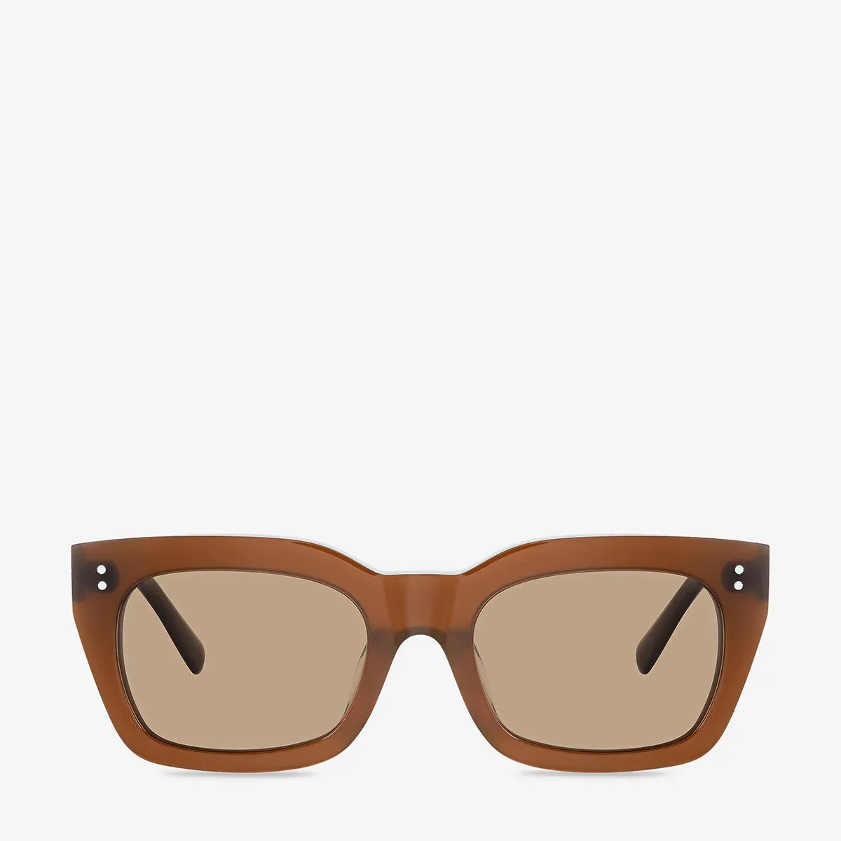 Status Anxiety Antagonist Brown