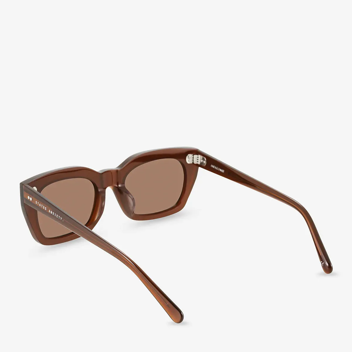Status Anxiety Antagonist Brown