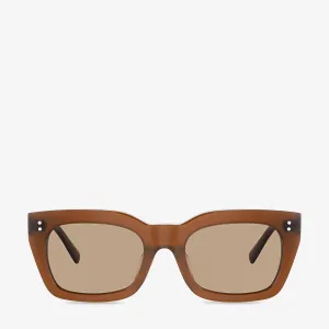 Status Anxiety Antagonist Brown