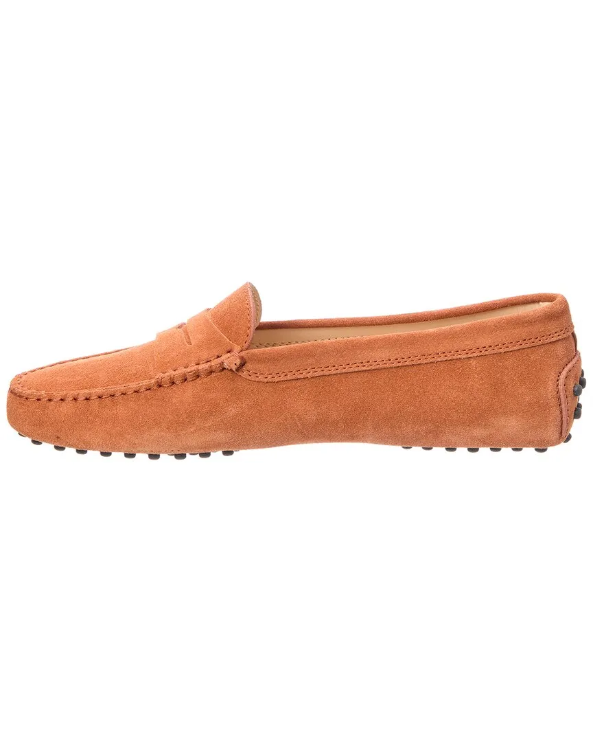 TODs Gommino Suede Loafer